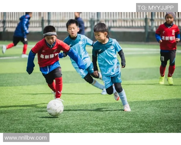 足球比探：探索绿茵场上的激情与智慧，揭示比赛背后的战术与团队精神